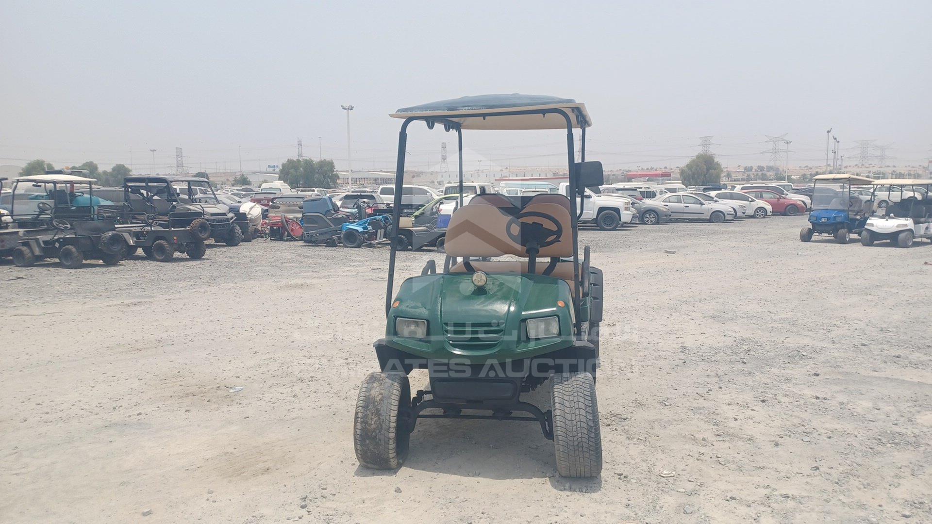 0 GOLF CART ELECTRIC VIN: L4F2550A590070038