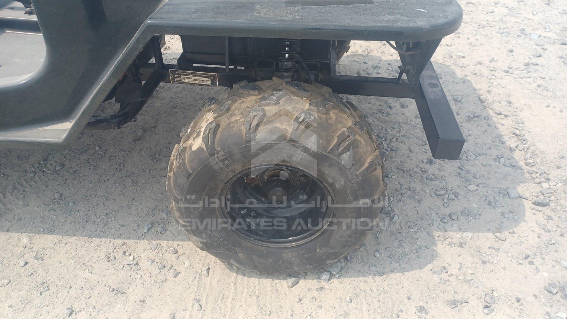 0 BUGGY --- VIN: LQBAJFGH6GI005305