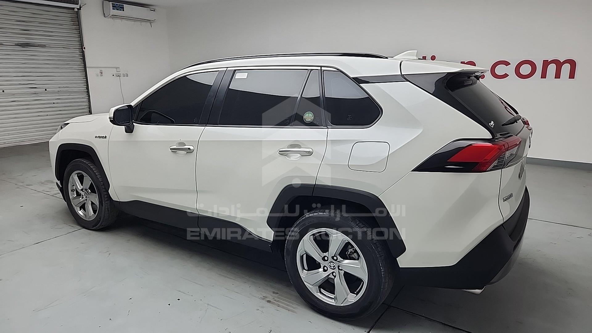 2019 TOYOTA RAV-4 VIN: JTMDW3FV6KD516671