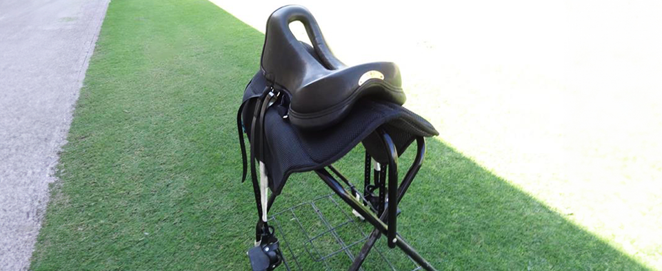 The Most Expensive Saddle