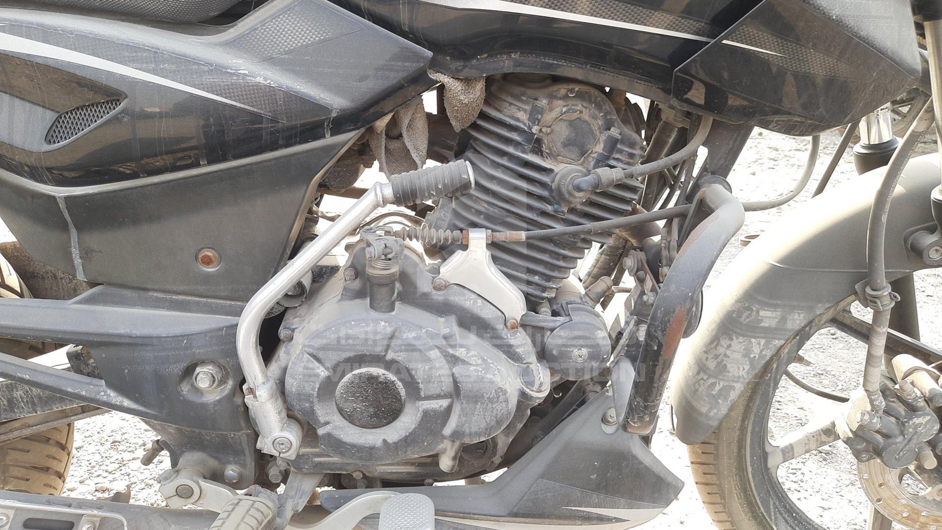 2019 BAJAJ 150 CC VIN: MD2A11CY0KCH55902