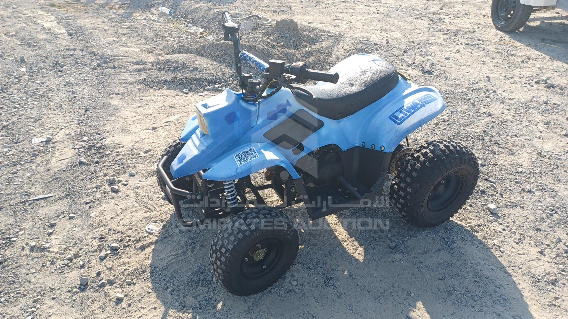 0 BUGGY --- VIN: LSA702G2022030032