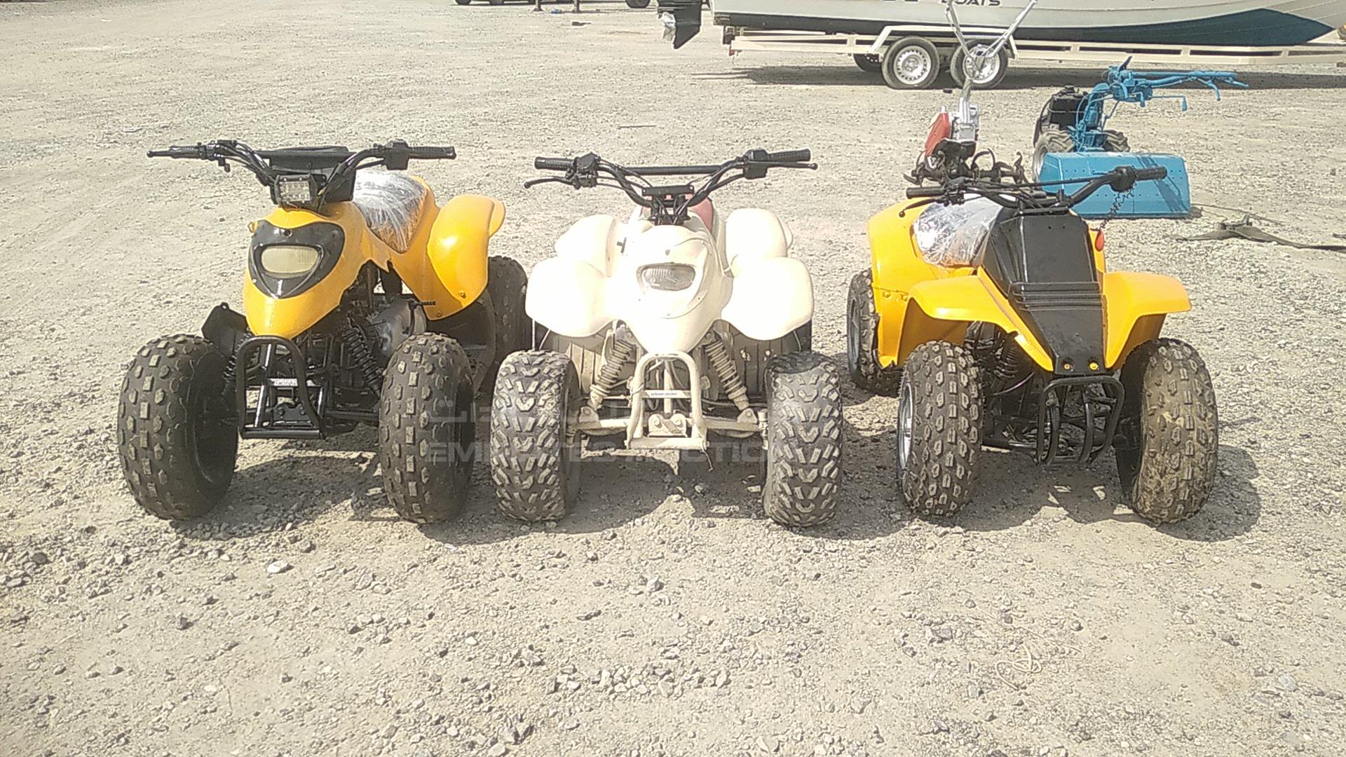 0 BUGGY --- VIN: C113541161