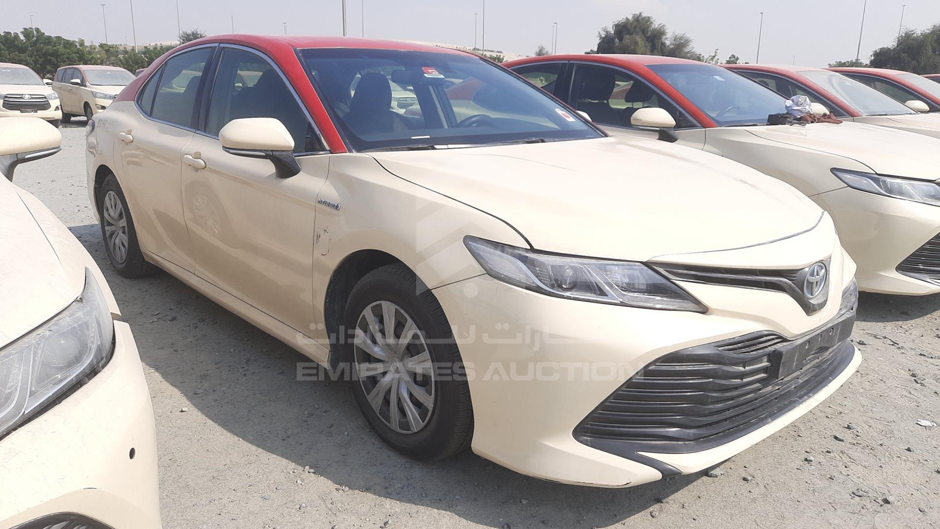 2019 TOYOTA CAMRY VIN: JTNB29HK8K3015209