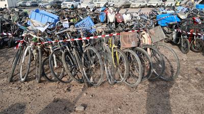 14 Bicycles - سكراب بدون اوراق - #667220