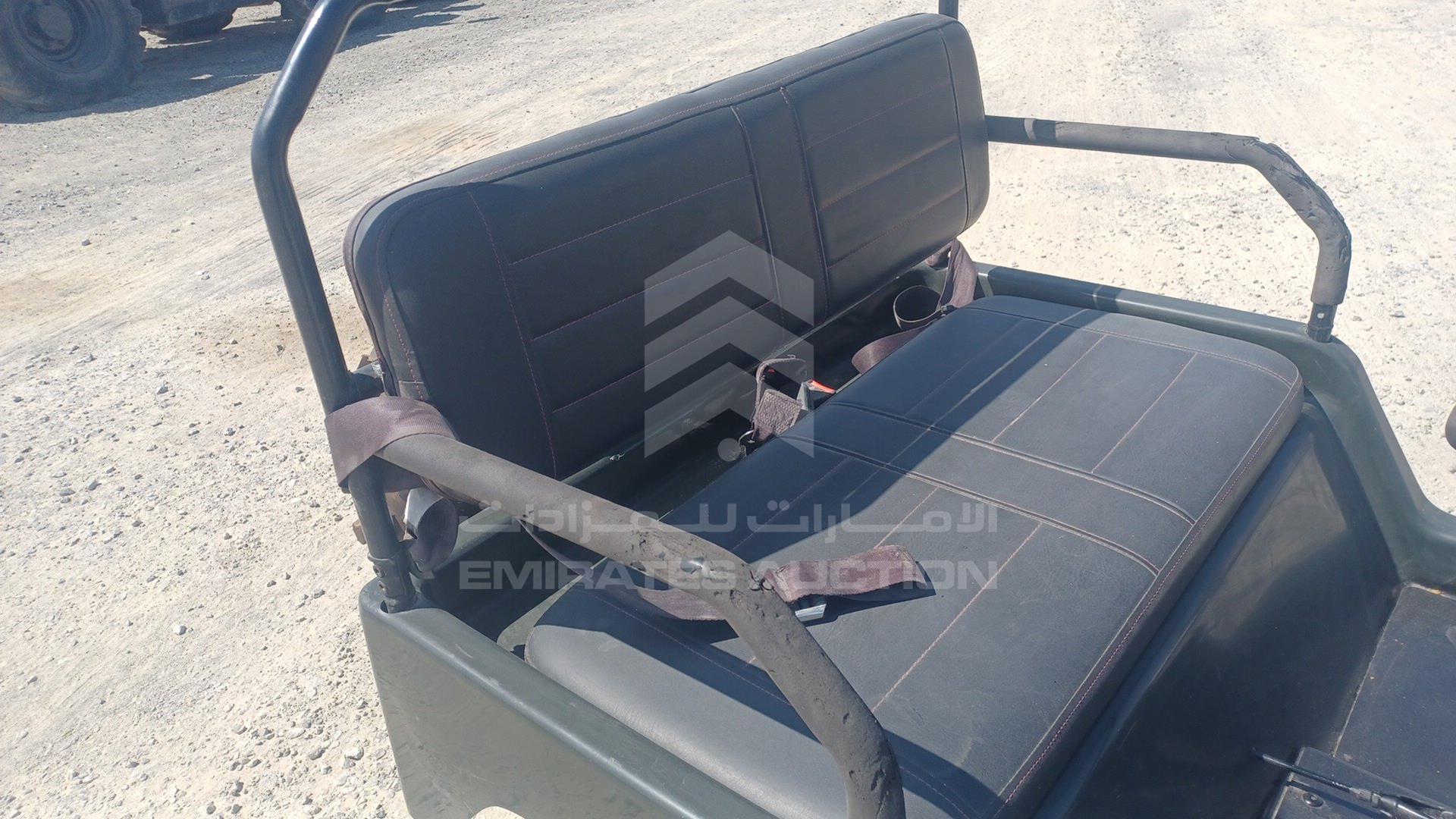 0 BUGGY --- VIN: LQBAJFGH3GT005309