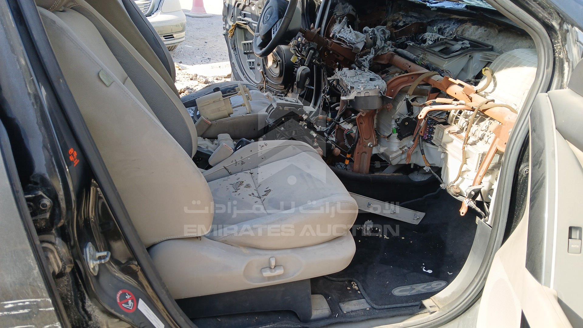 2009 MAZDA CX-9 VIN: JM7TB19A290115629