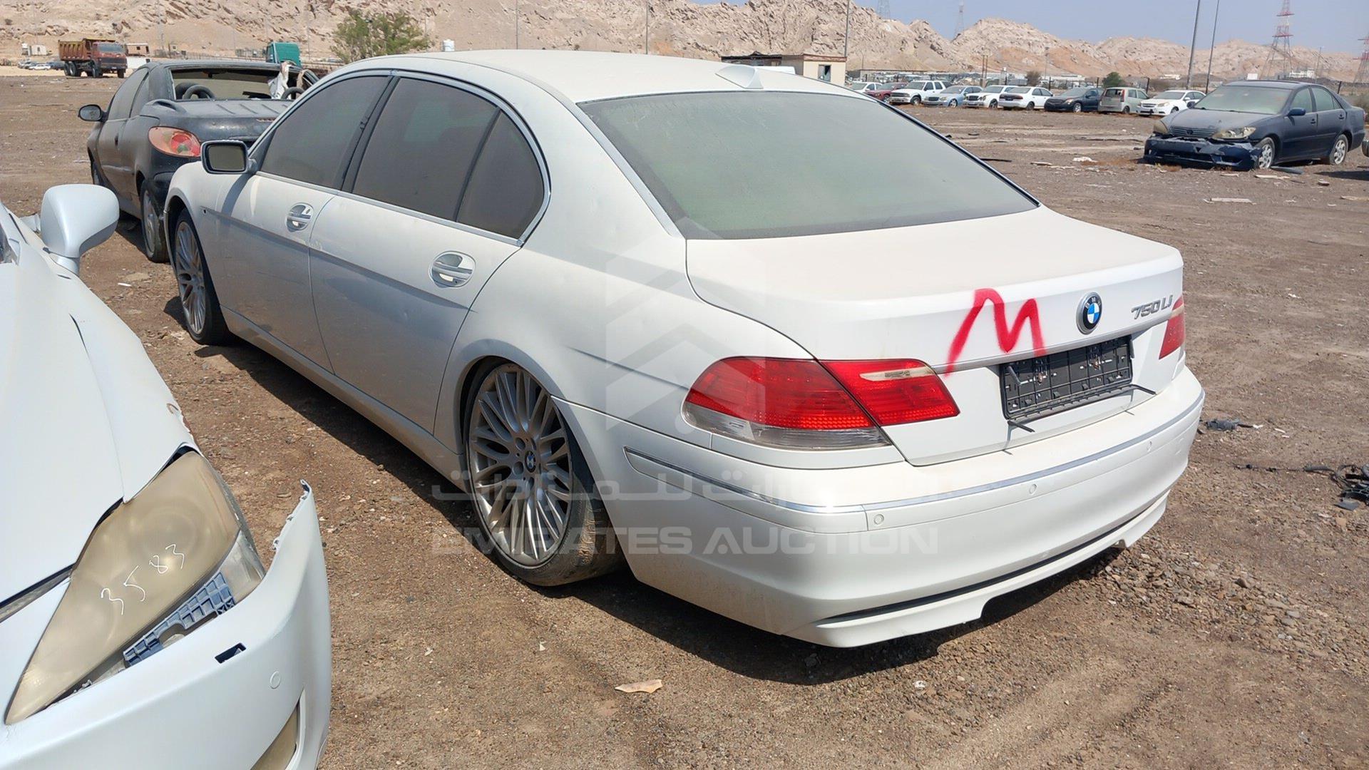 0 BMW 750LI VIN: WBAHN81076DT18598