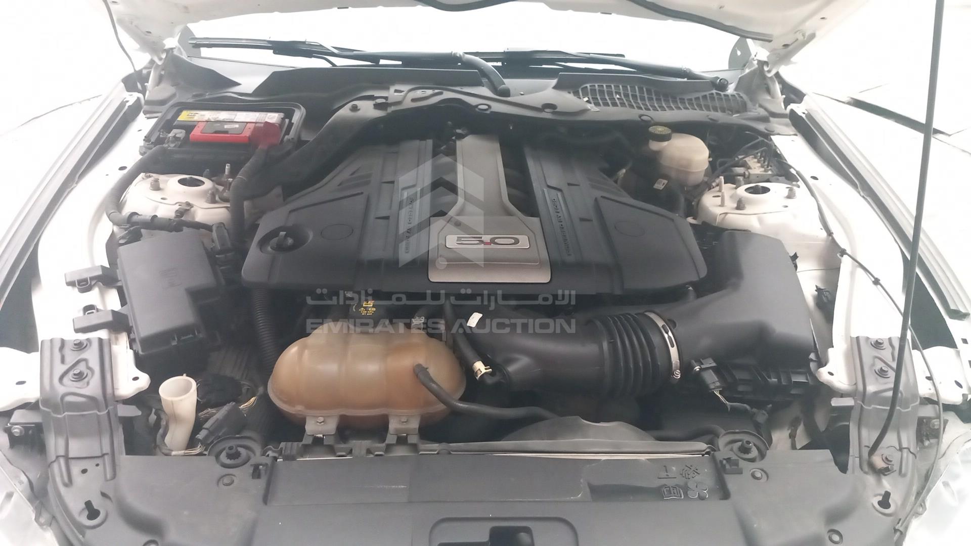 2019 FORD MUSTANG VIN: 1FA6P8CF6K5157614