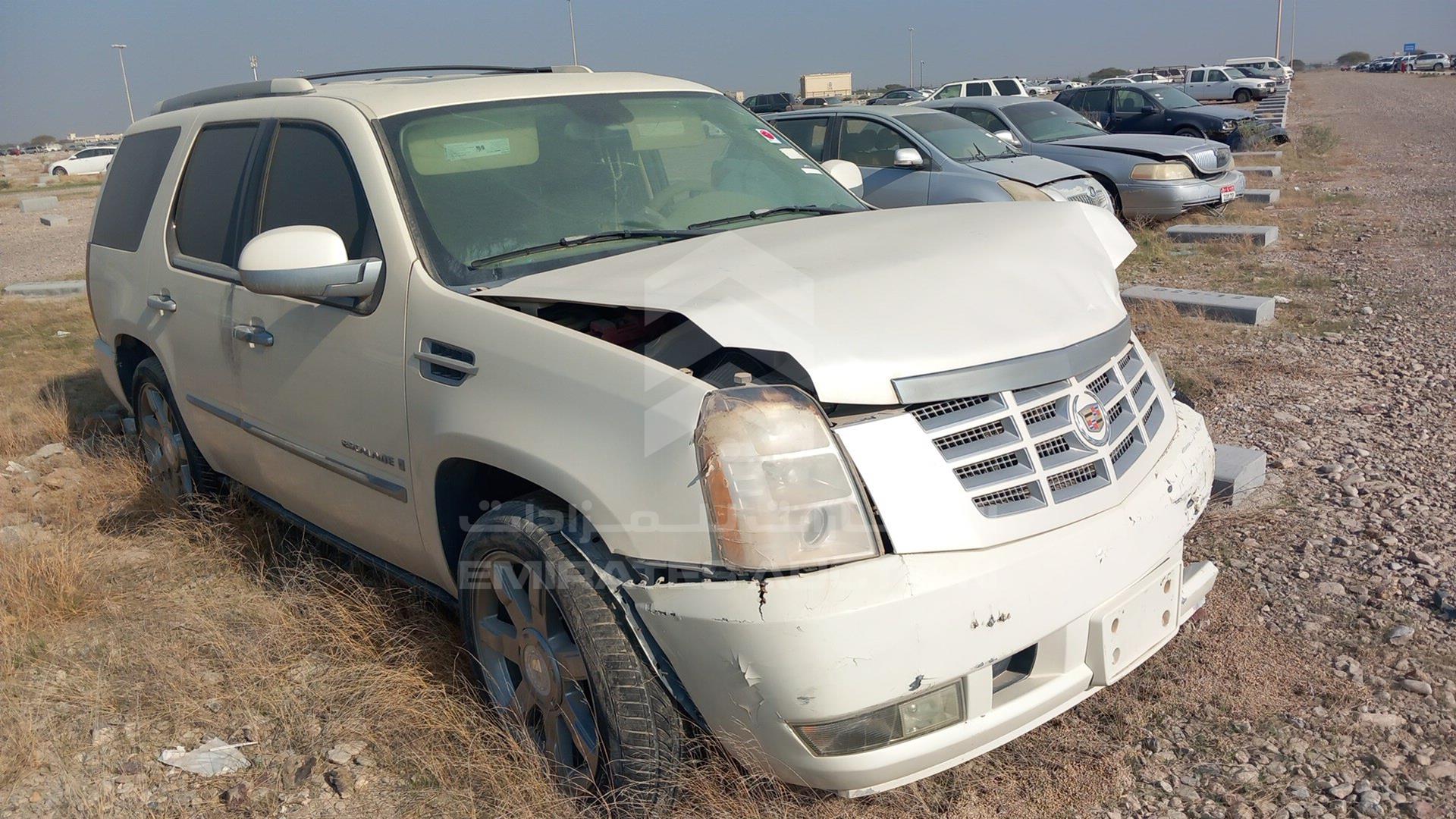 2007 CADILLAC ESCALADE VIN: 1GYFK63807R311985