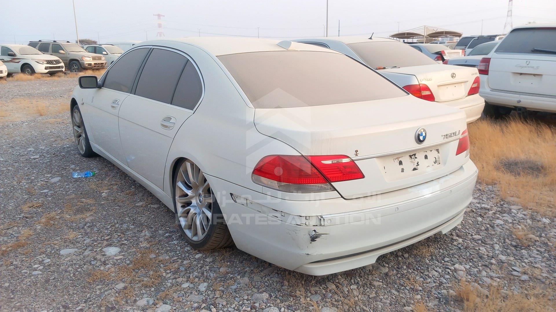 2006 BMW 750LI VIN: WBAHN81016DT18645
