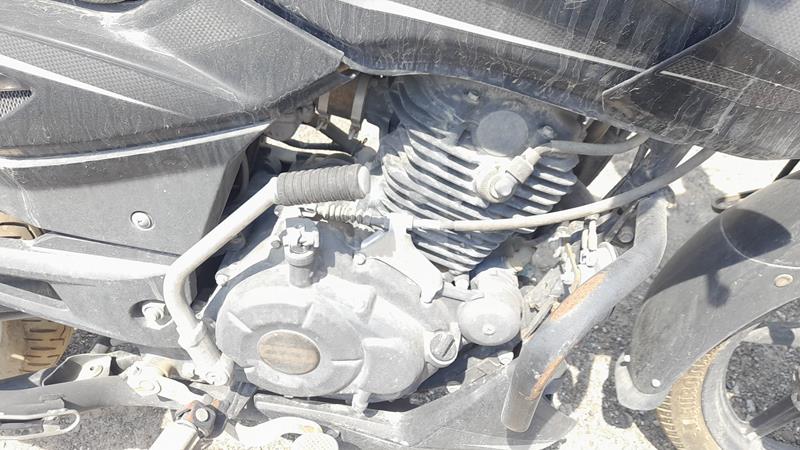 MD2A11CY5LCC61648 Auction: EmiratesAuction Lot: 406906 MD2A11CY5LCC61648 Bajaj Pulsar 0 BLACK Photo 18