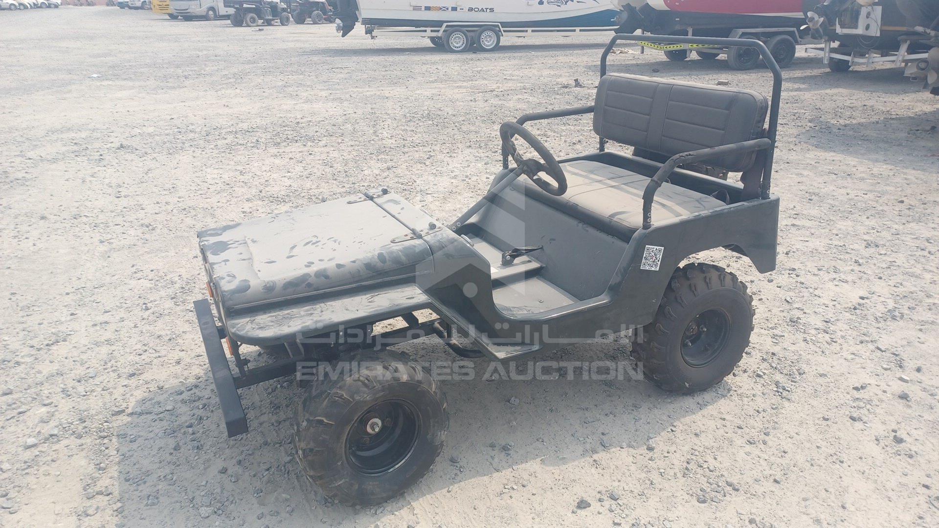 0 BUGGY --- VIN: LQBAJFGH6GI005305