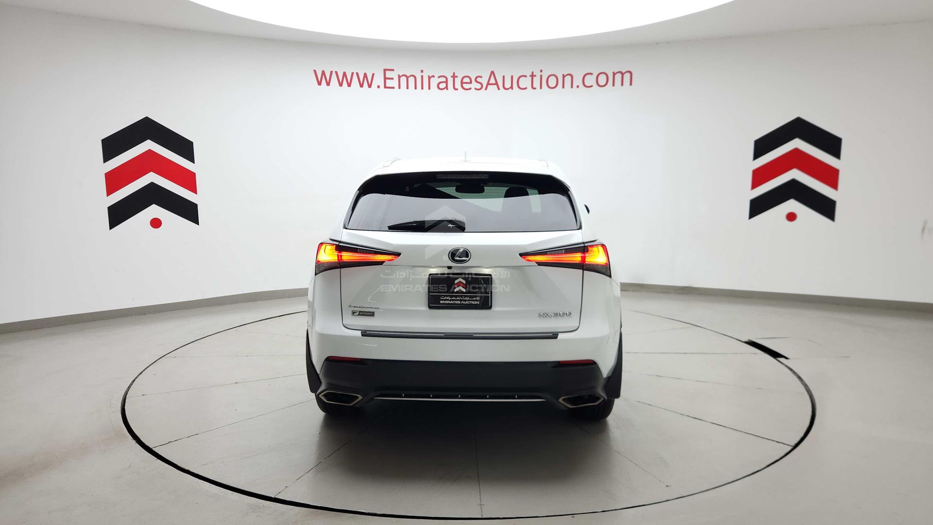 2020 LEXUS NX 300 VIN: JTJJARDZ1L5014914