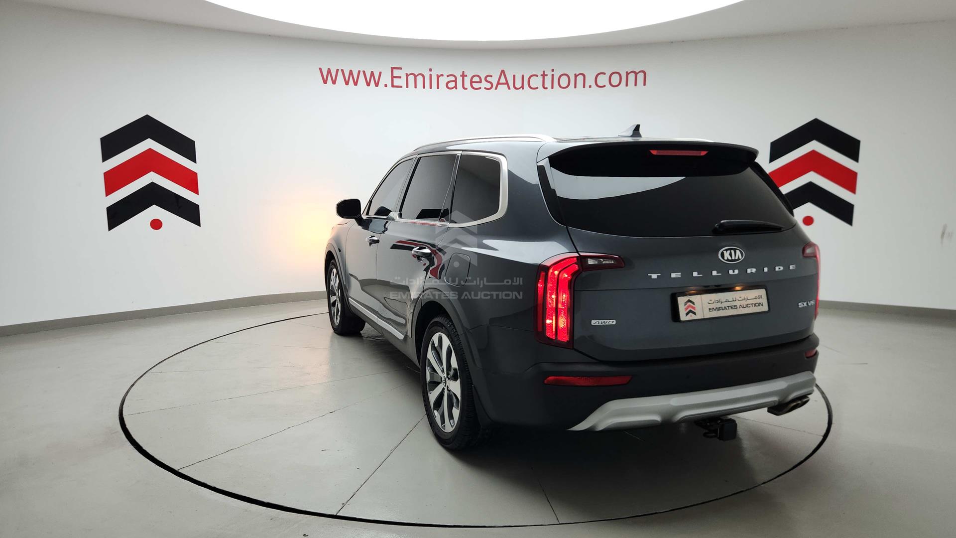 2020 KIA TELLURIDE VIN: 5XYP5DHC5LG086703