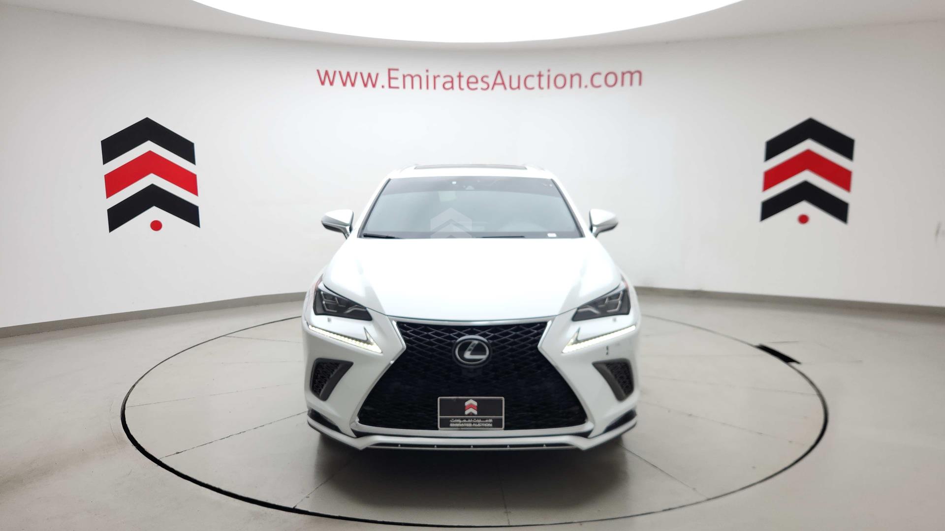 2020 LEXUS NX 300 VIN: JTJJARDZ1L5014914