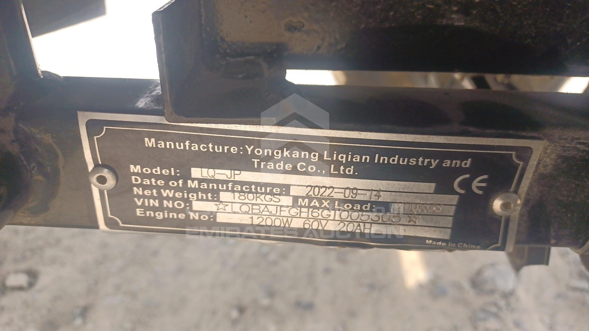 0 BUGGY --- VIN: LQBAJFGH6GI005305