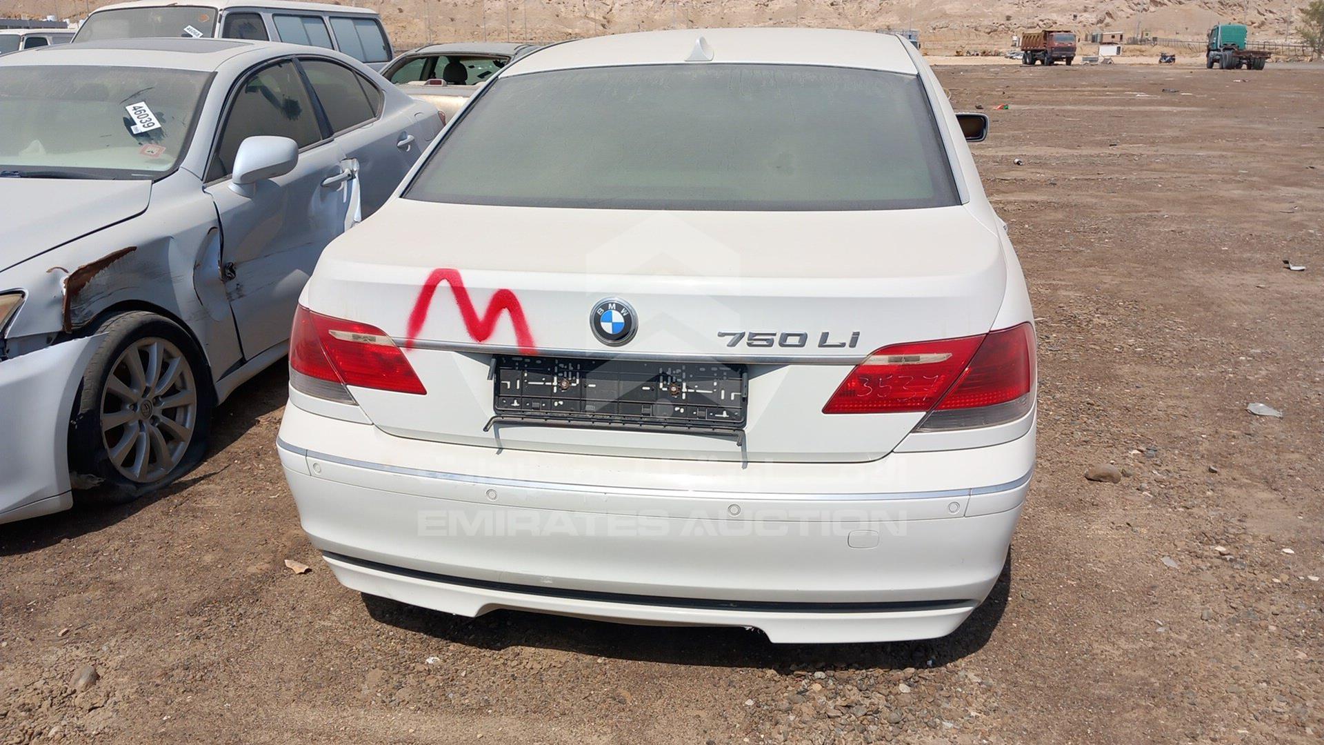 0 BMW 750LI VIN: WBAHN81076DT18598