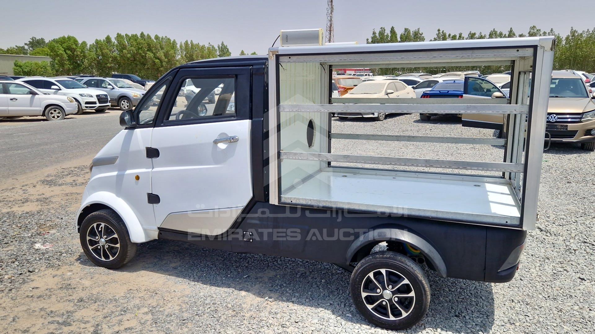 0 RUNHORSE ELECTRIC TRUCK VIN: R3W8AZKU9NA000030