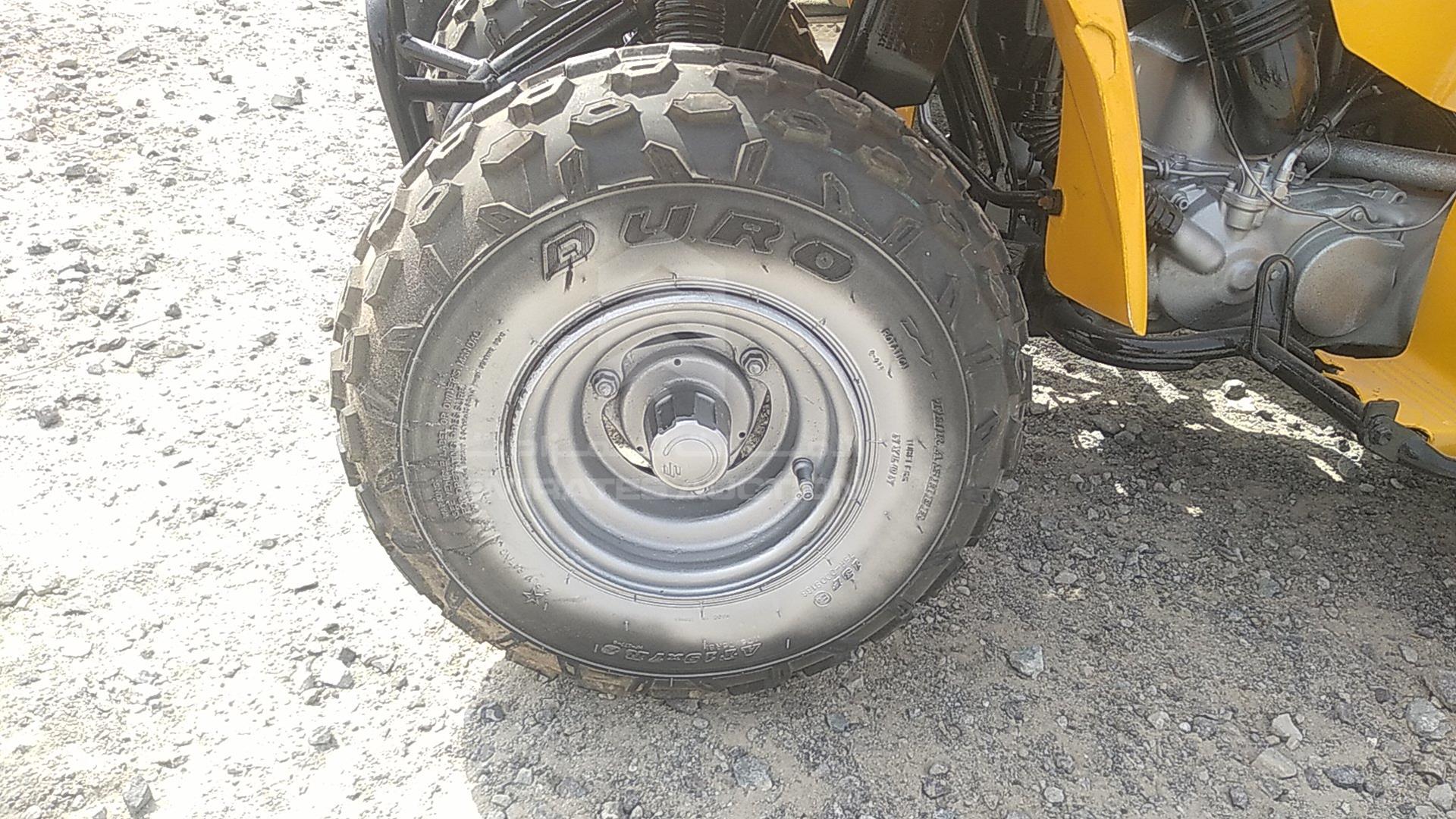 0 BUGGY --- VIN: C113541161