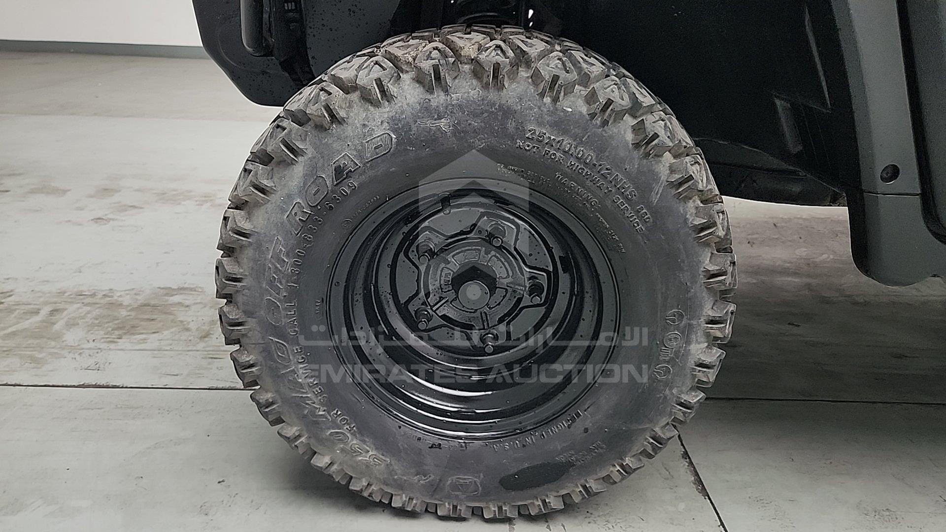 0 BUGGY --- VIN: AD1UW24BEH2000029