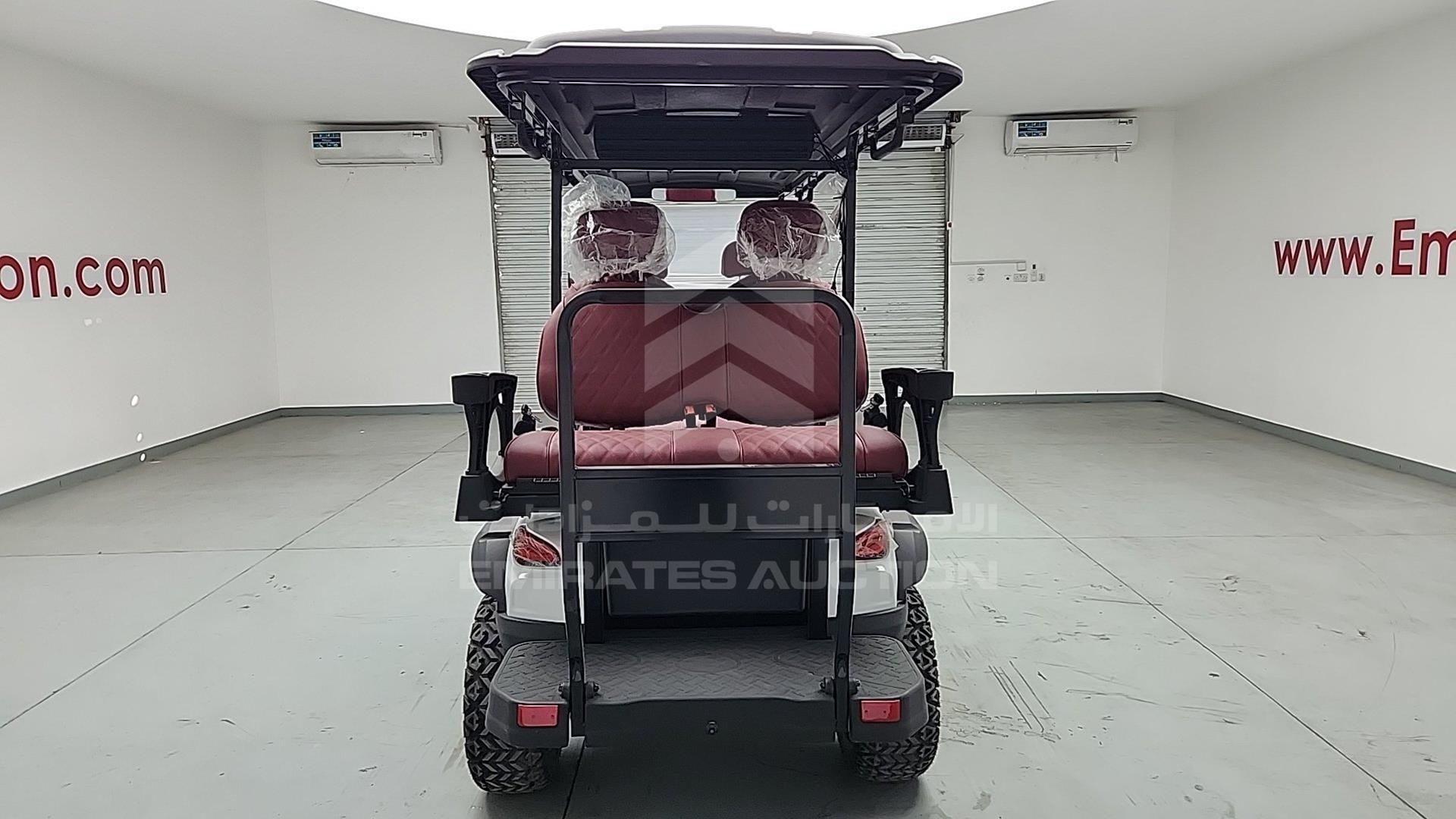2025 GOLF CART ELECTRIC VIN: ZM24113
