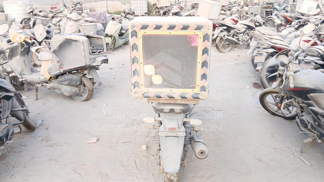 2022 Bajaj Pulsar — Rear View — Photo 7