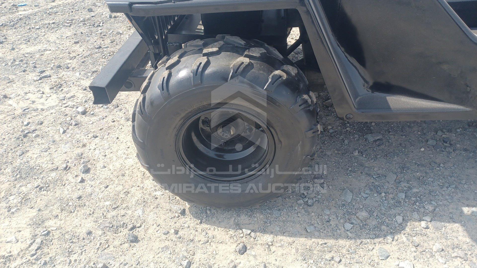 0 BUGGY --- VIN: ZB8304563CA251