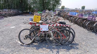  100 Bicycles