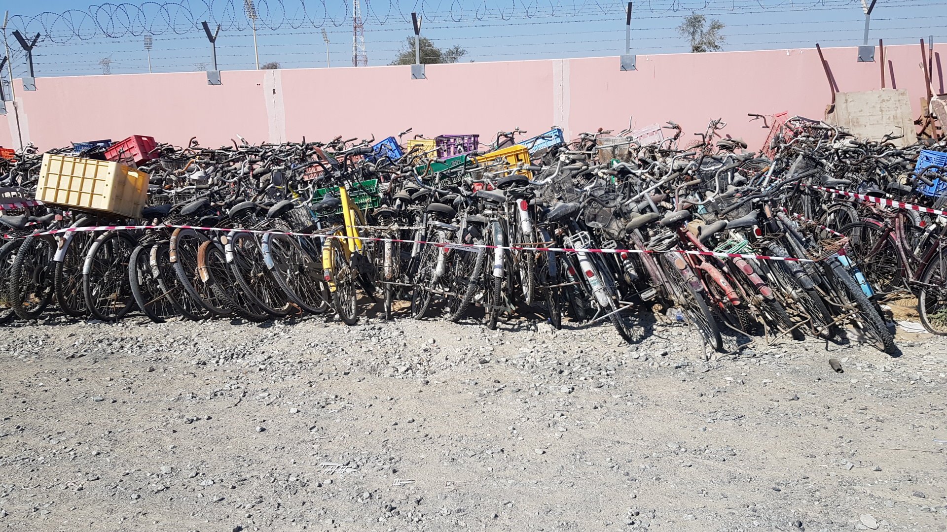 100 Bicycles for sale in UAE | 250978