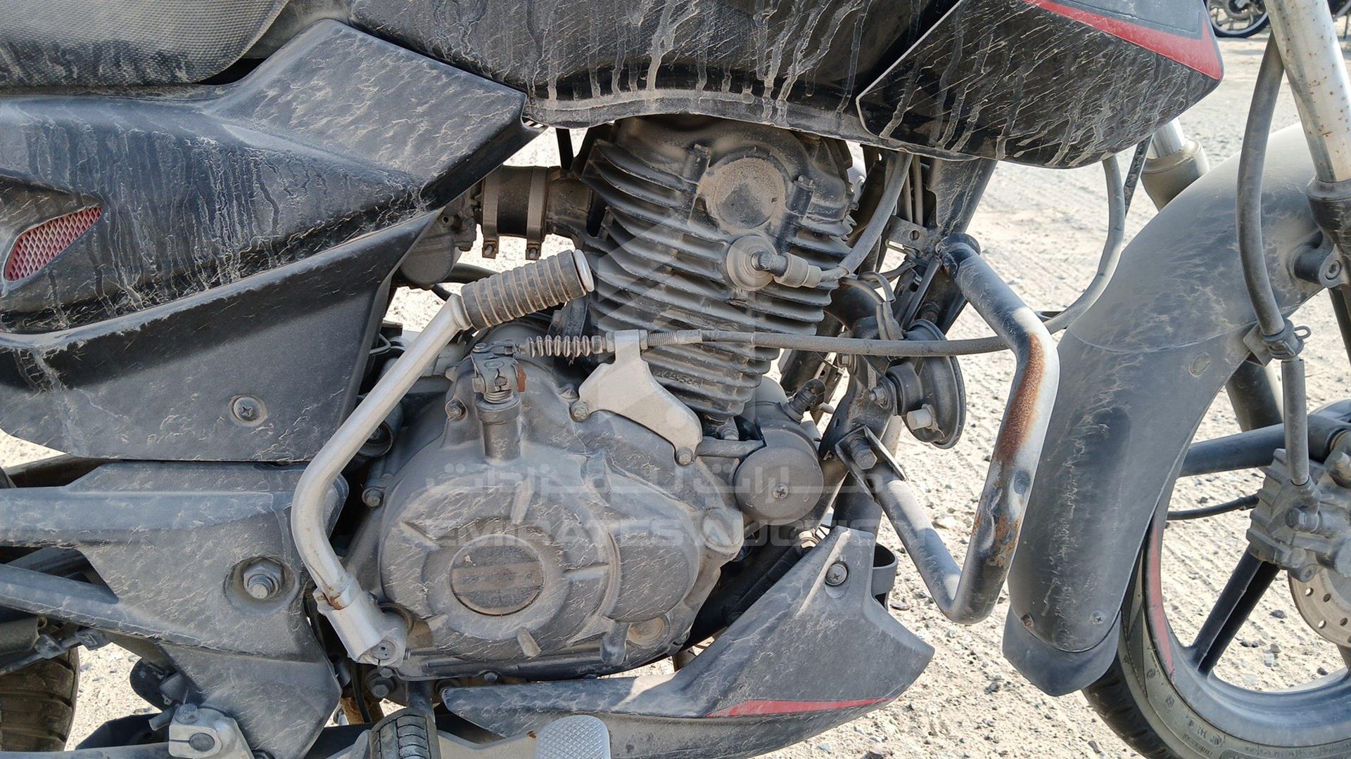 2021 BAJAJ 150 CC VIN: MD2A11CX0MCF13217