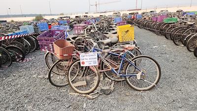  100 Bicycles