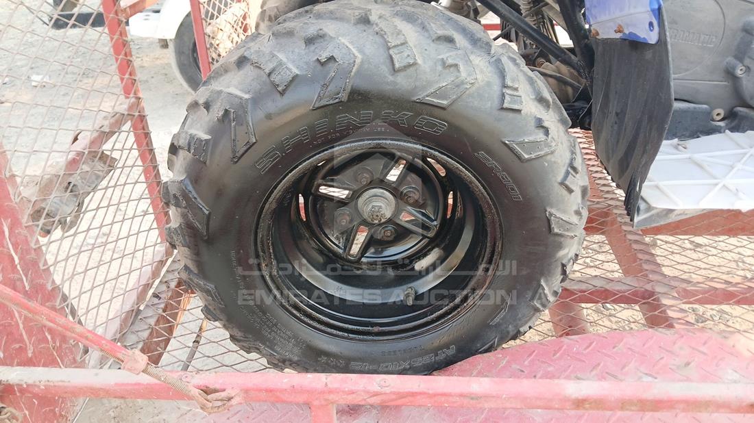 Buggy + Trolly — Rear Right Tyre — Photo 21