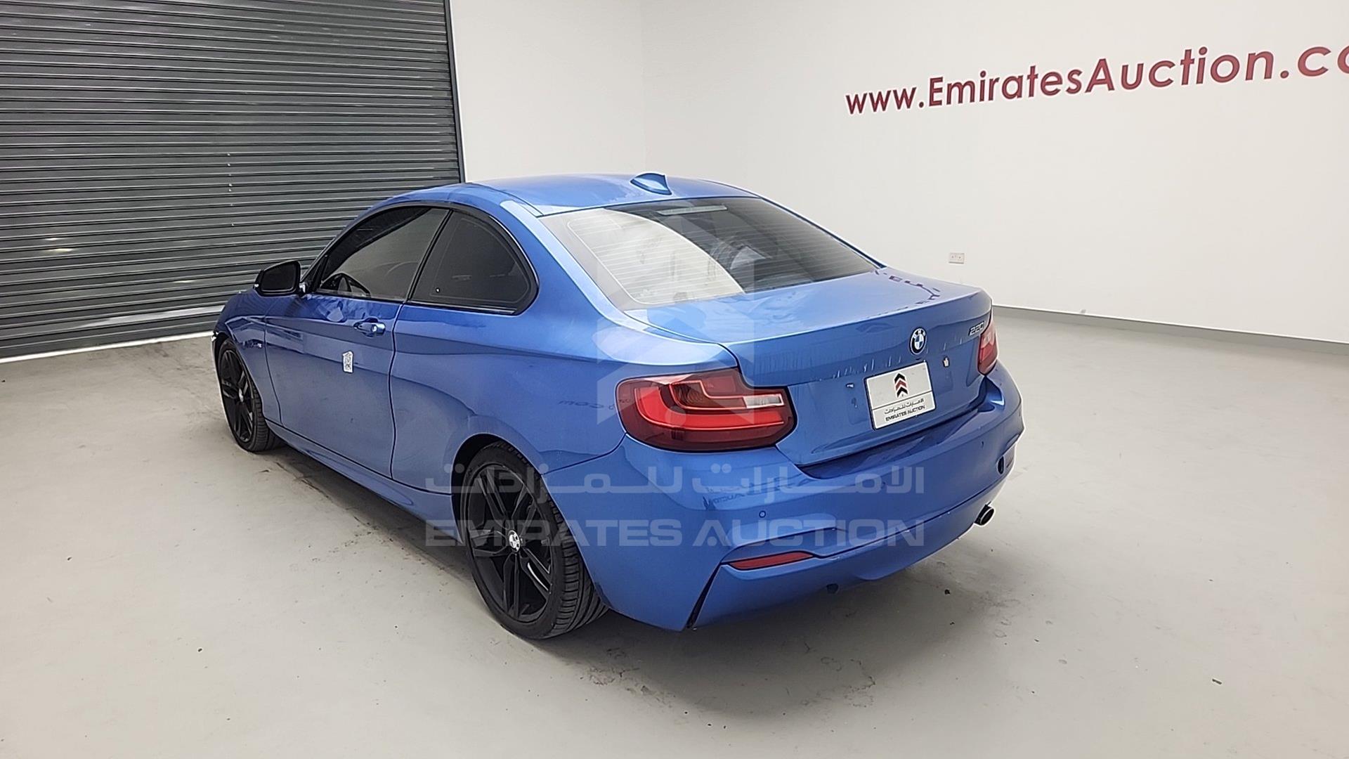 2014 BMW 220 VIN: WBA1J1104EVW83687