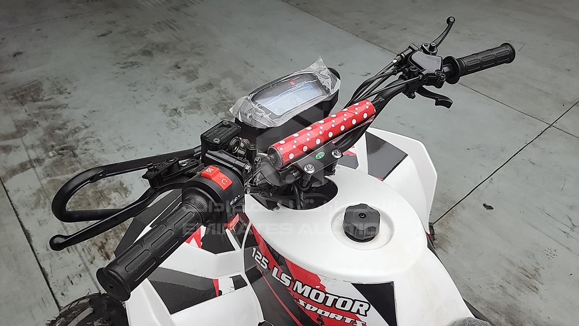 2025 ATV --- VIN: LSA708R2024100075