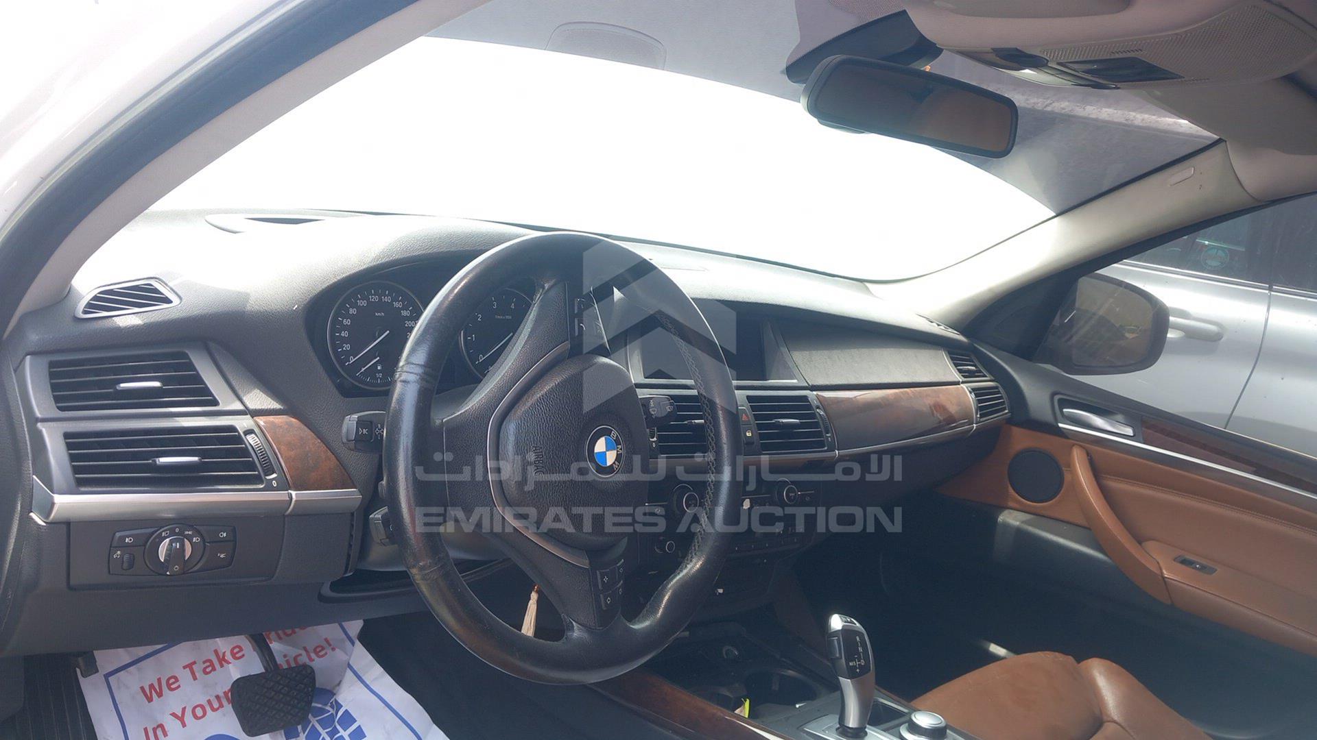 2009 BMW X5 VIN: WBAFE81019L096271