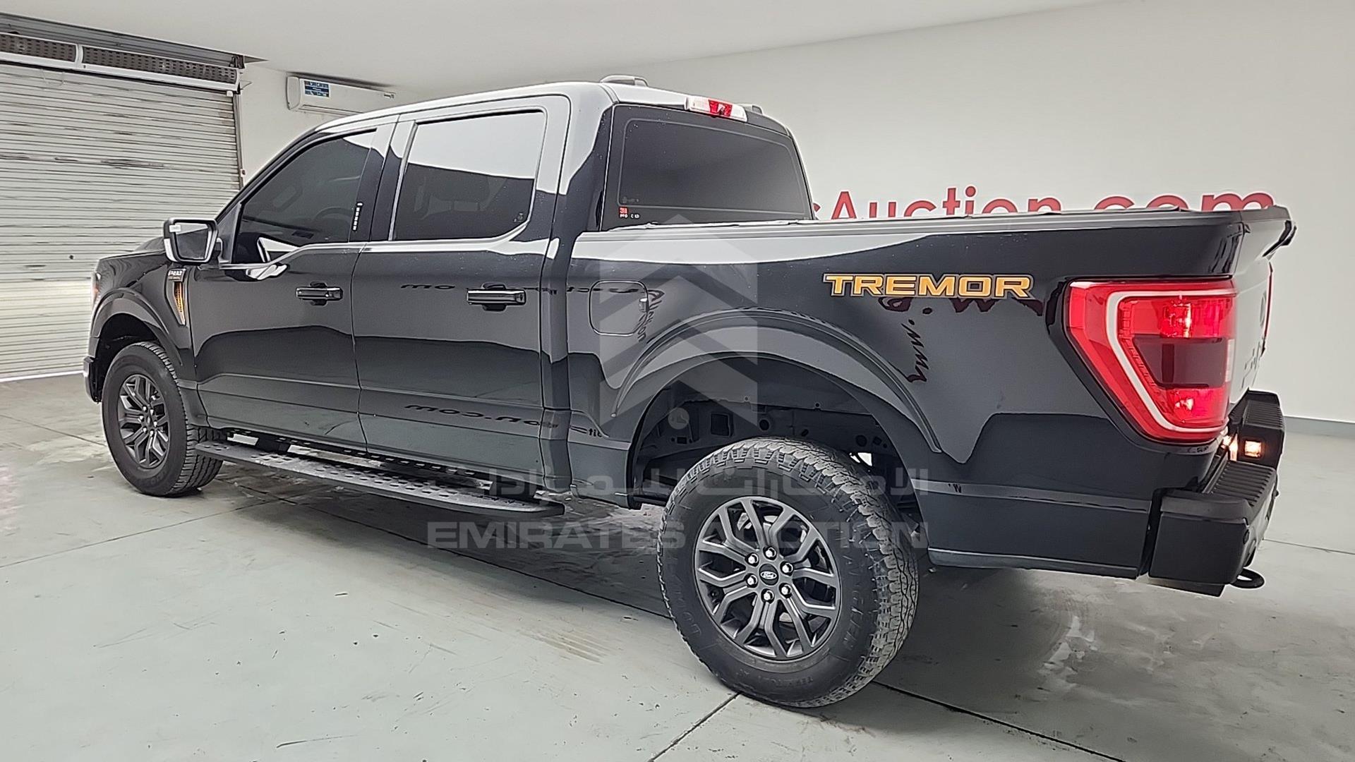 2022 FORD F-150 VIN: 1FTEW1E87NFA89076