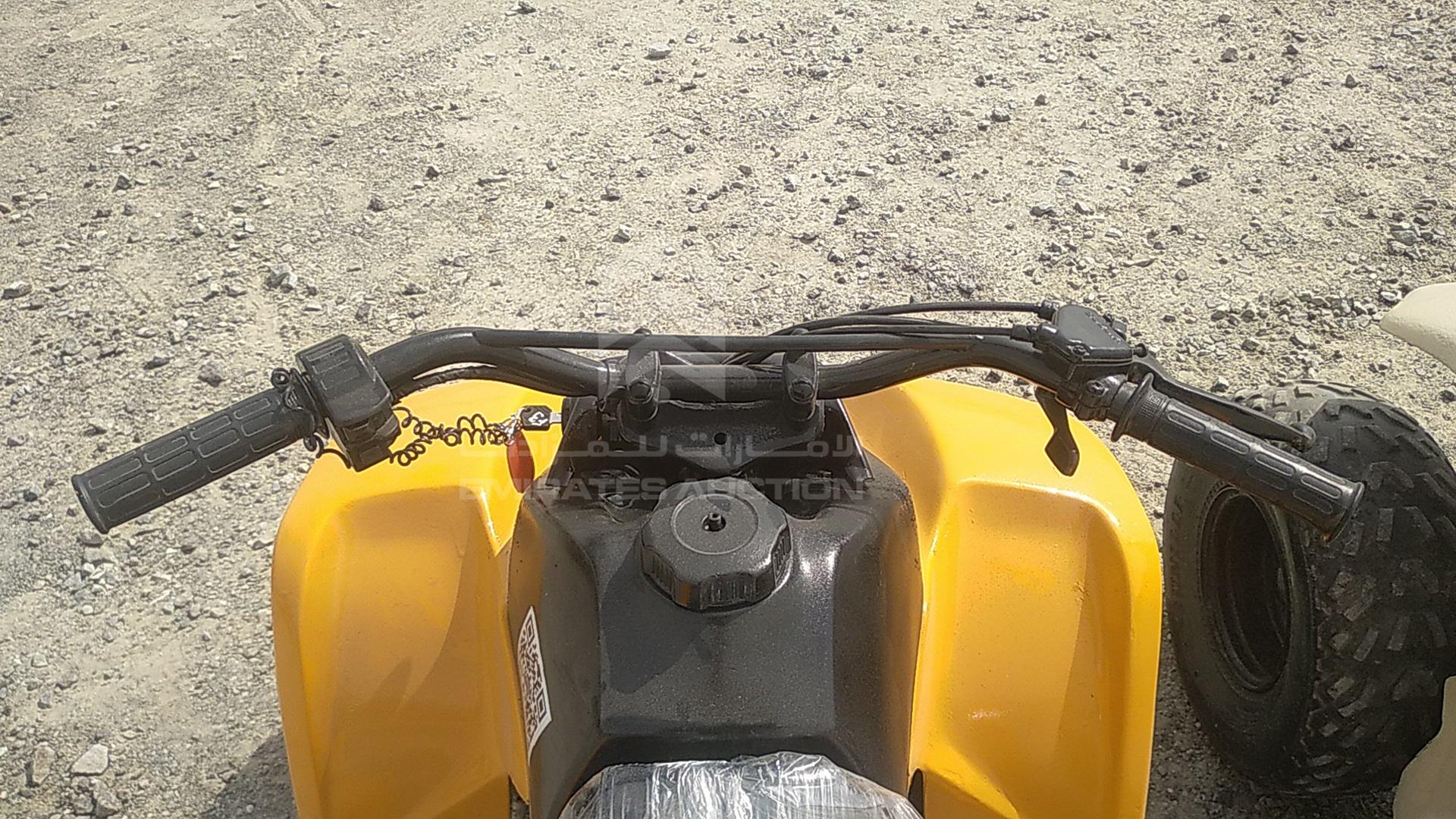 0 BUGGY --- VIN: C113541161