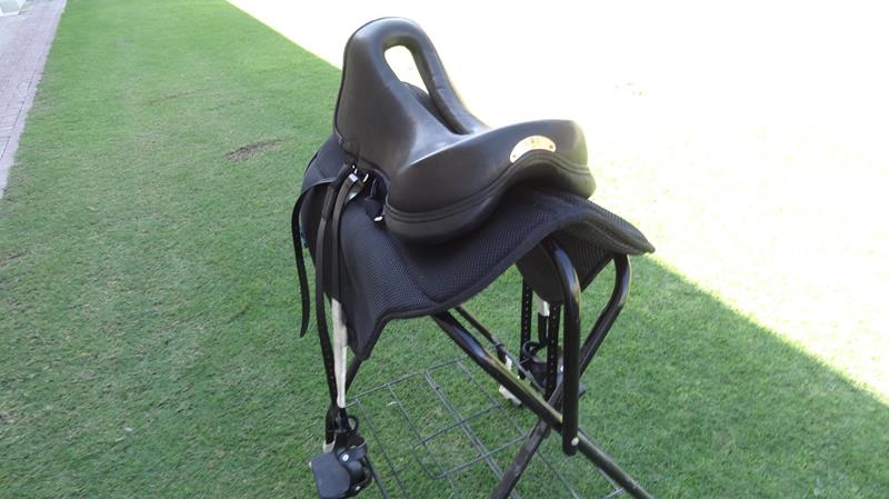 Saddle Sold at Auction