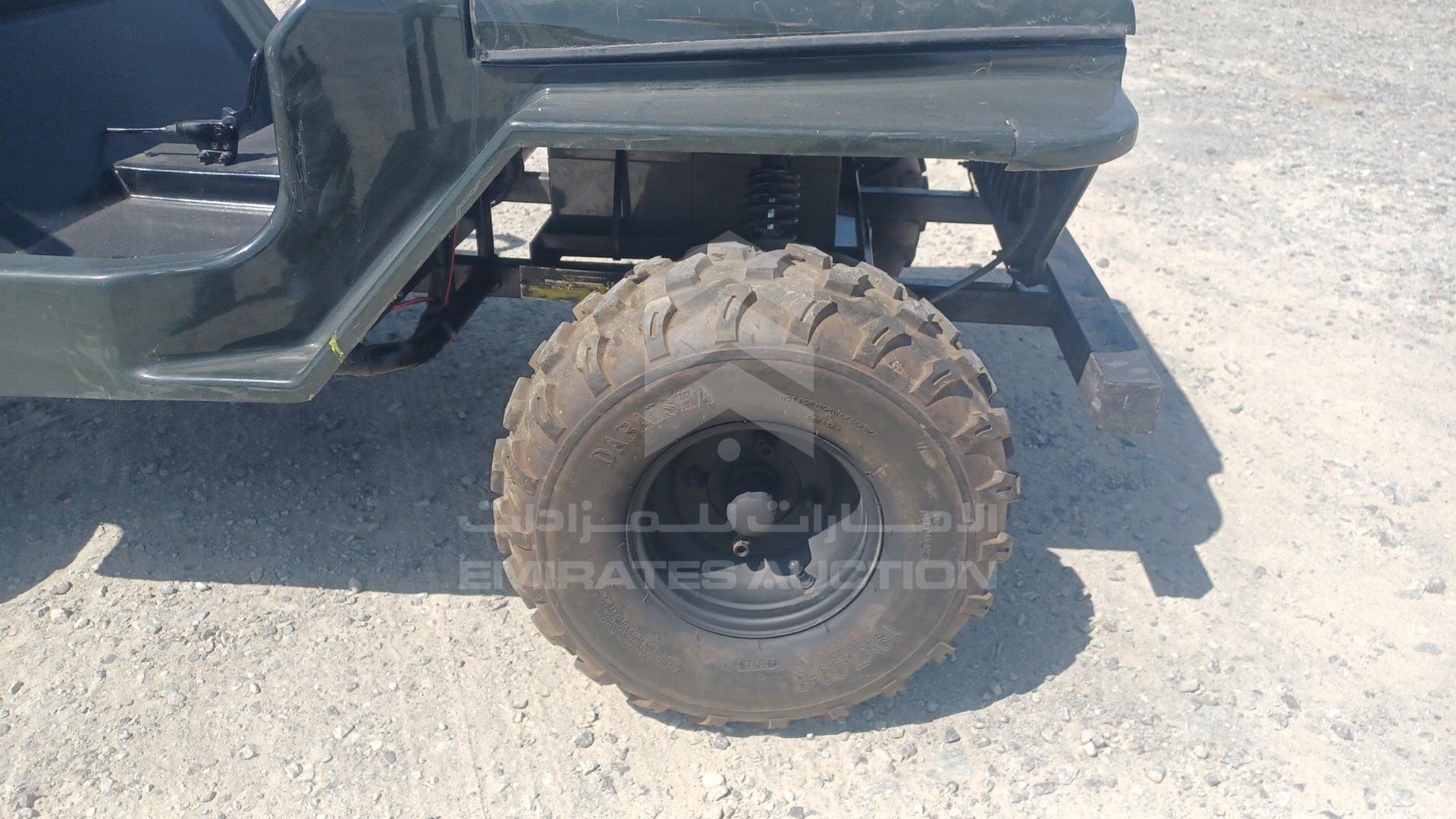 0 BUGGY --- VIN: LQBAJFGH3GT005309