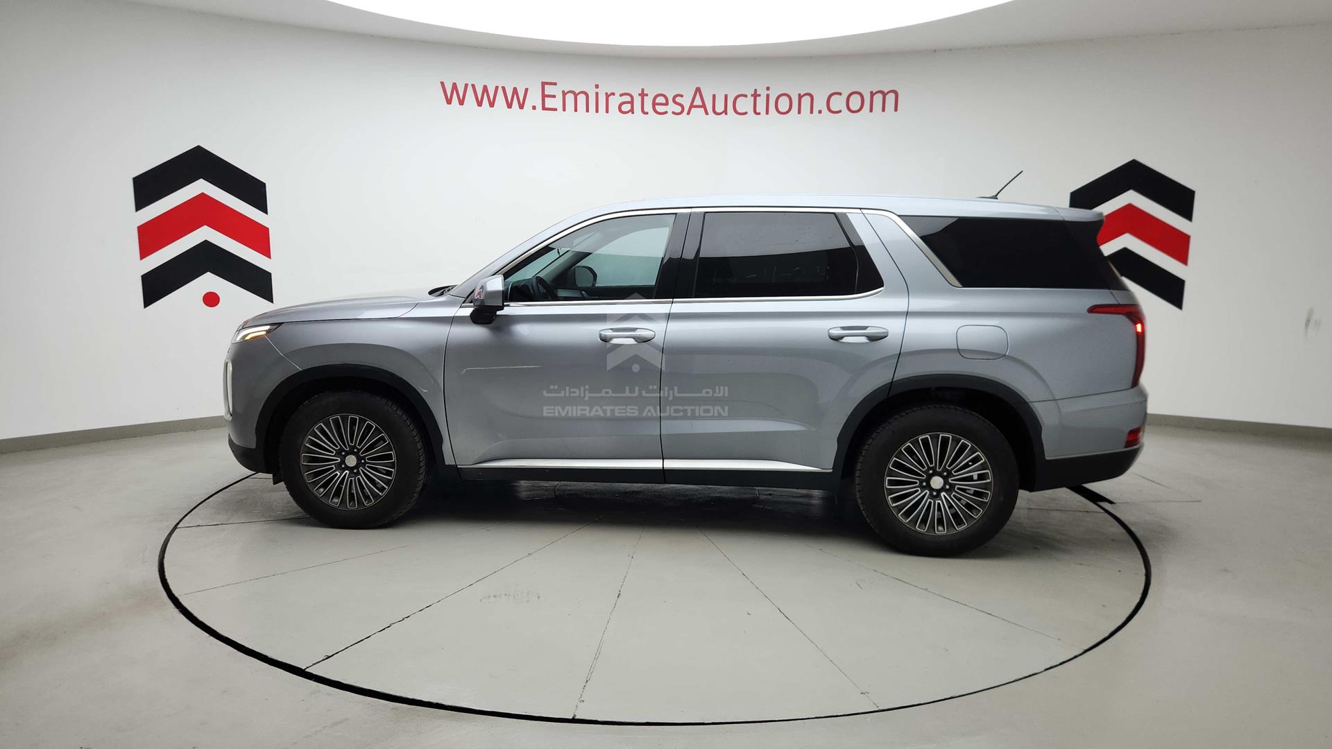2020 HYUNDAI PALISADE VIN: KM8R1DHE7LU030374