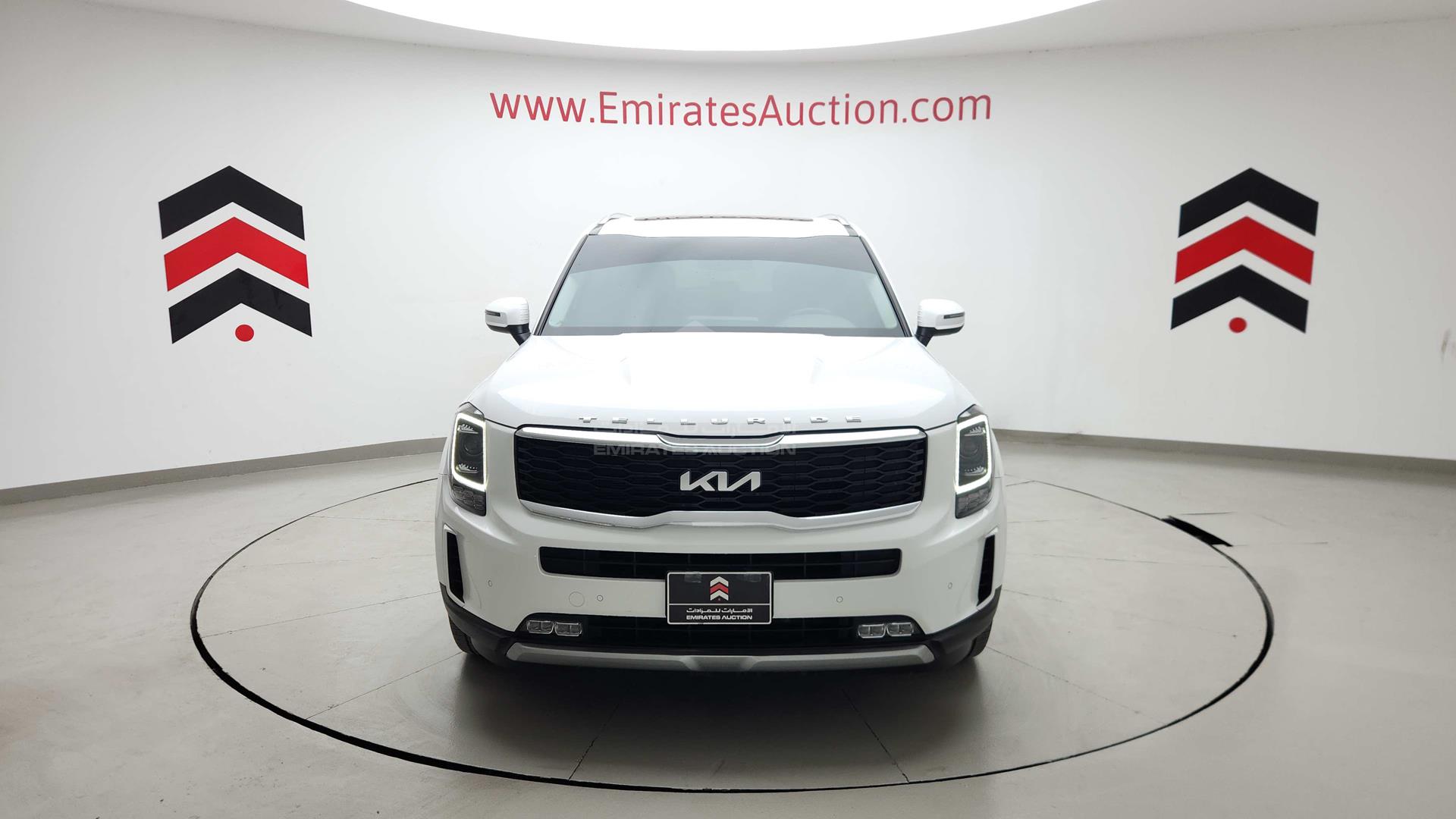 2022 KIA TELLURIDE VIN: 5XXP381C7NG232128
