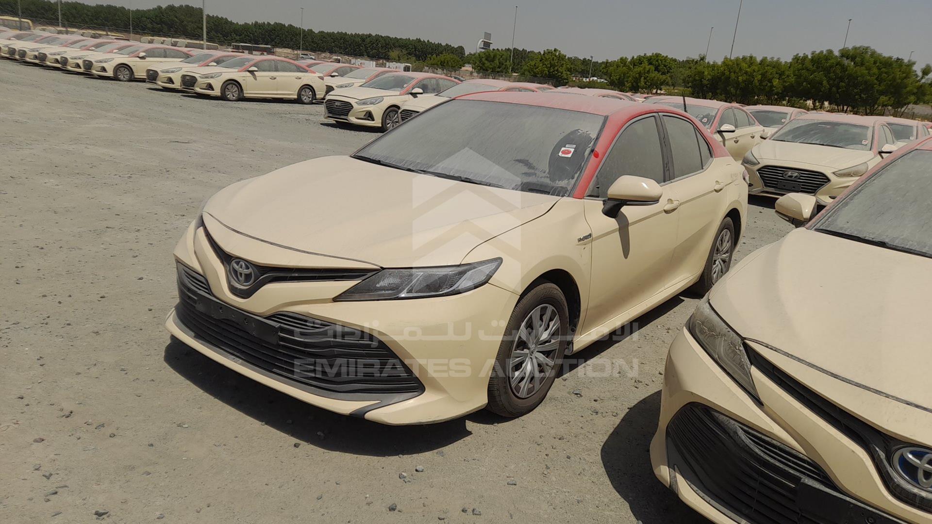 2019 TOYOTA CAMRY VIN: JTNB29HK5K3042173