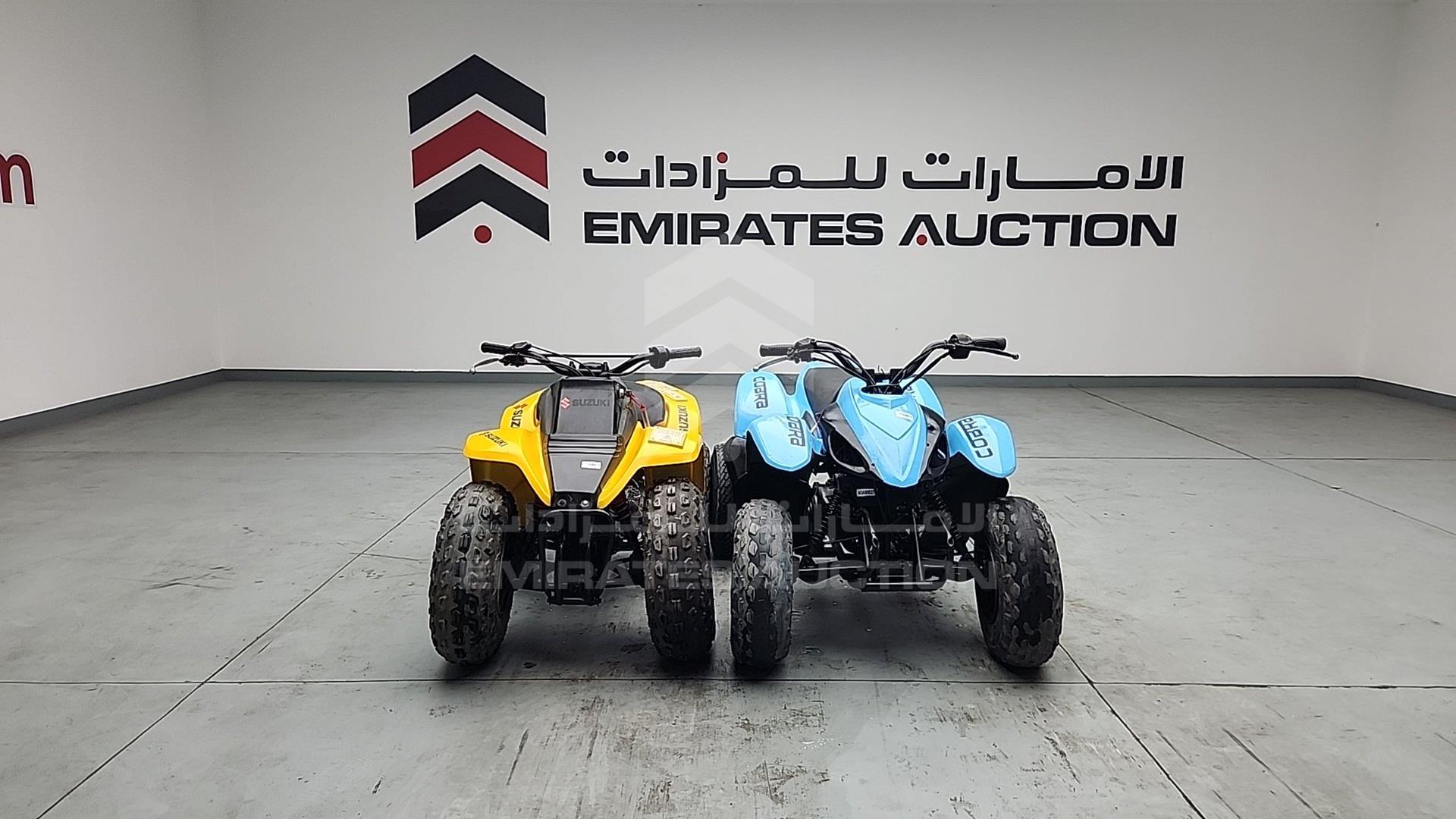 0 BUGGY --- VIN: M3A900276