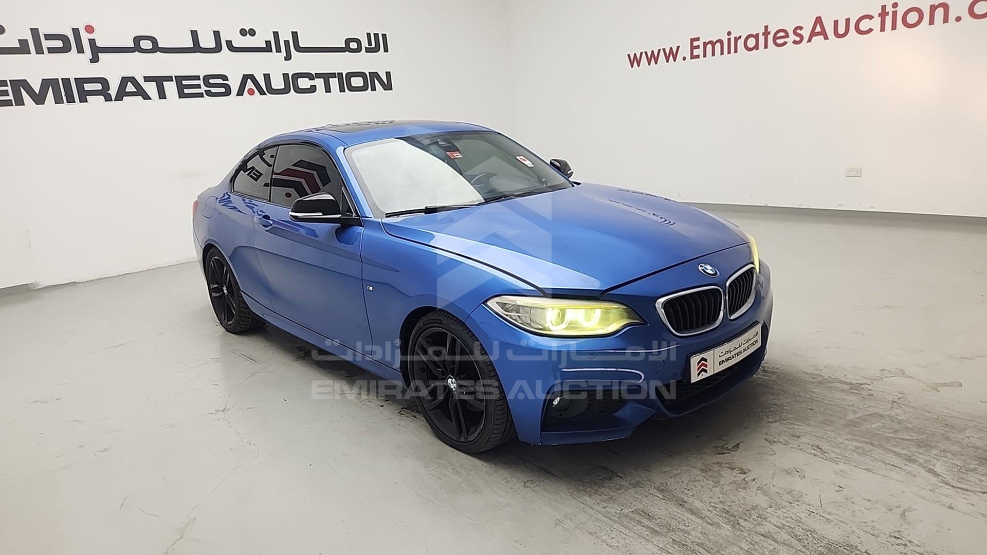 2014 BMW 220 VIN: WBA1J1104EVW83687