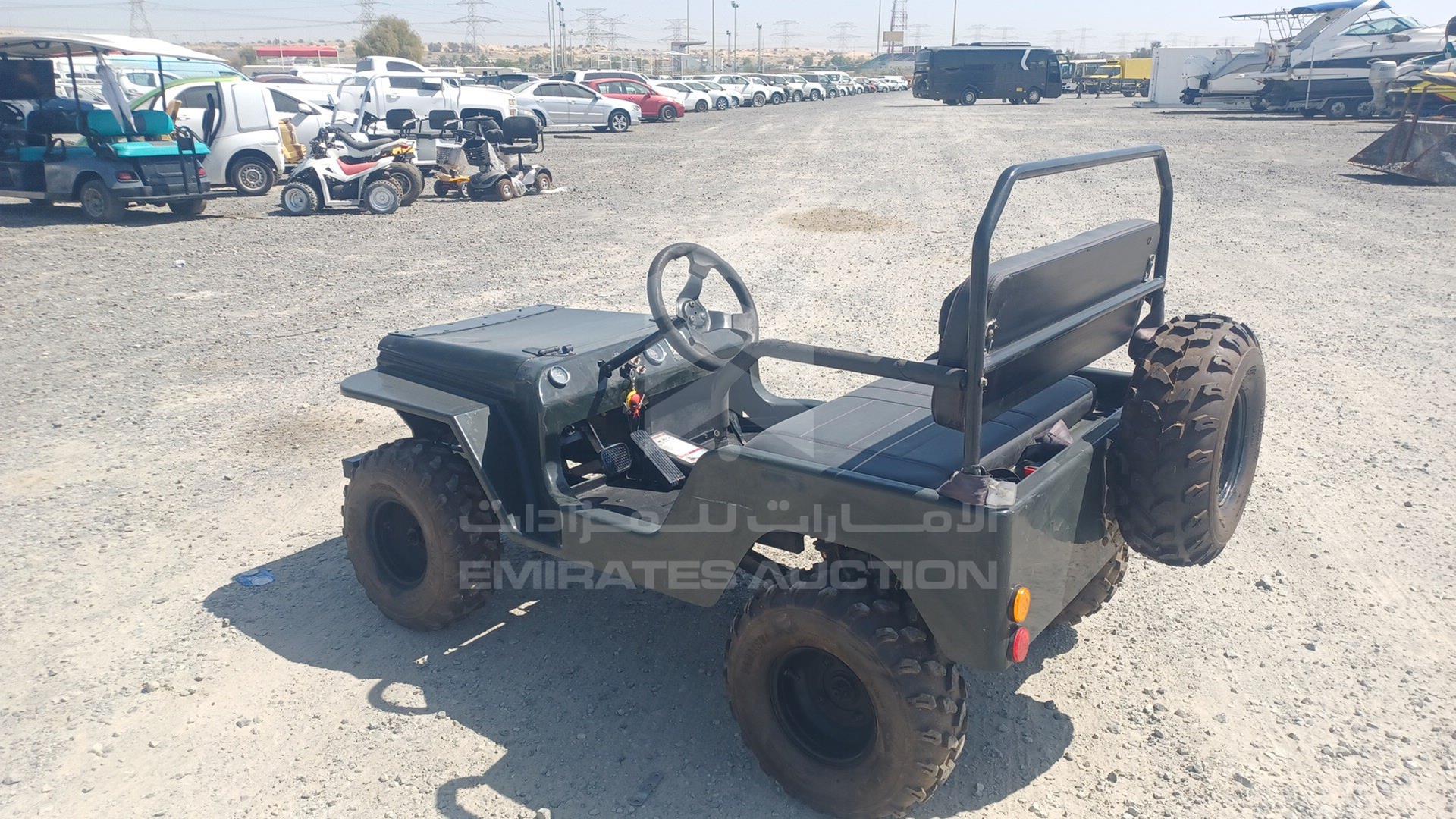 0 BUGGY --- VIN: LQBAJFGH3GT005309