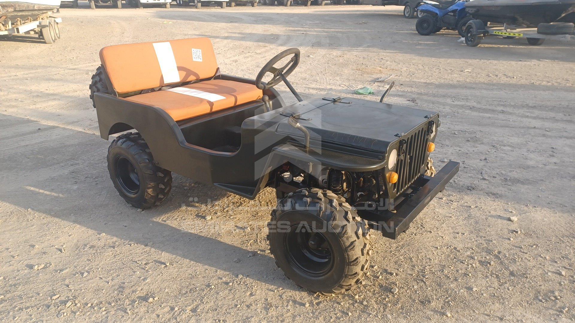0 BUGGY --- VIN: L37AMKAC6GZ070015