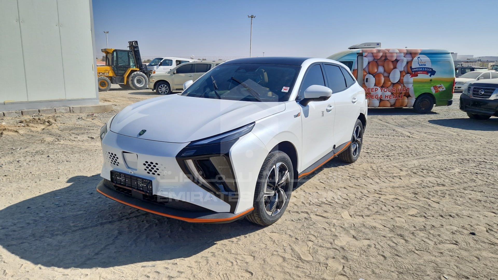 2024 DONG FENG FORTHING T5 VIN: LMXD14BJXRZ382049