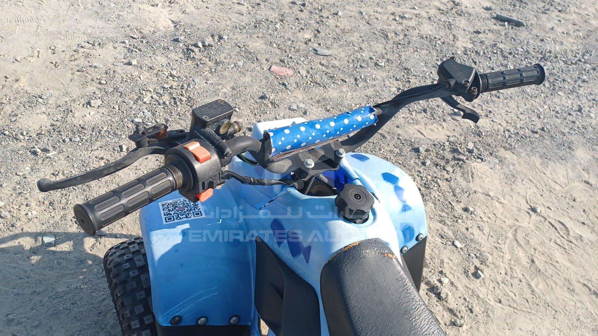 0 BUGGY --- VIN: LSA702G2022030032