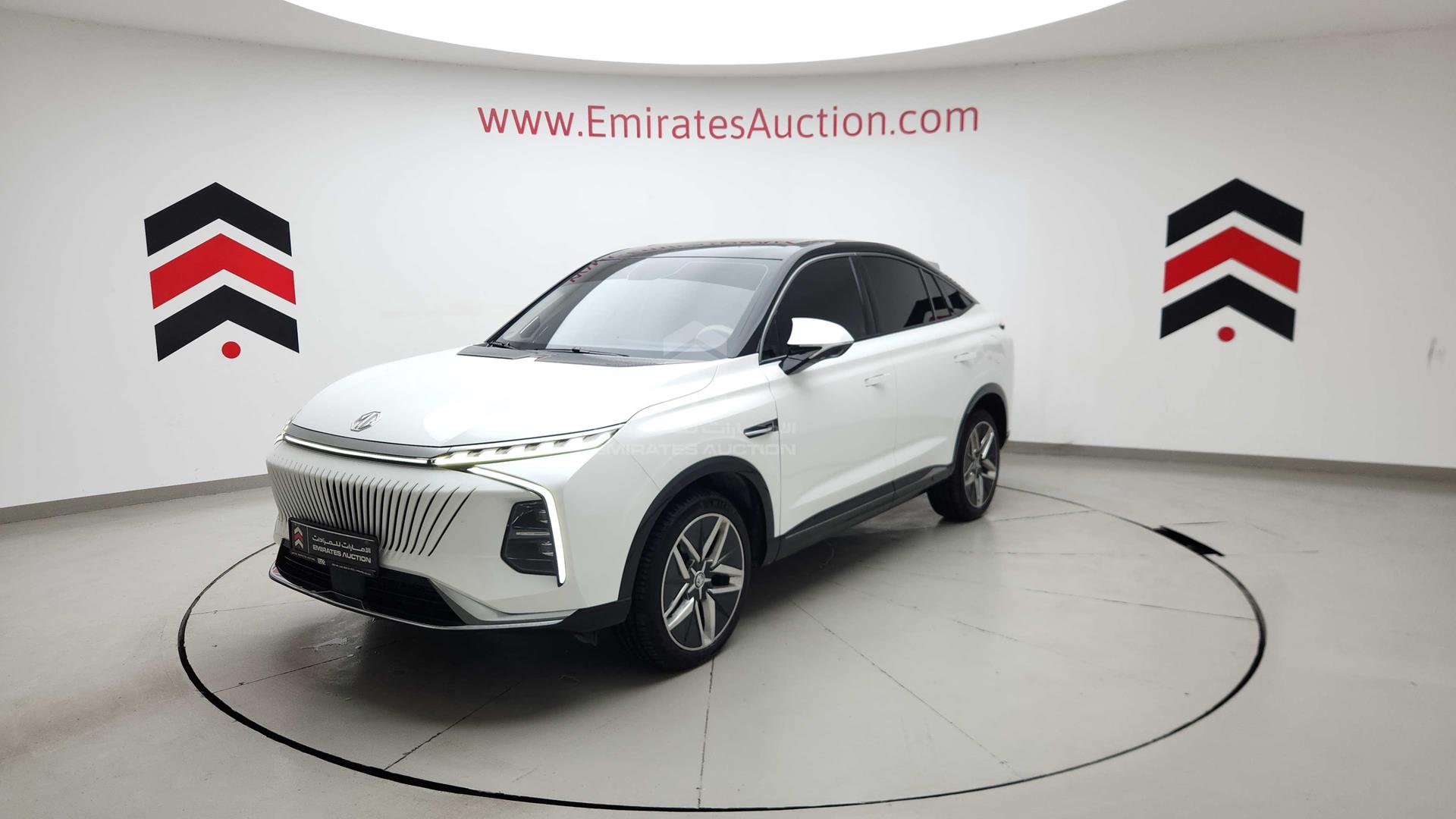 2024 MG WHALE VIN: LSJA24W9XRS042204